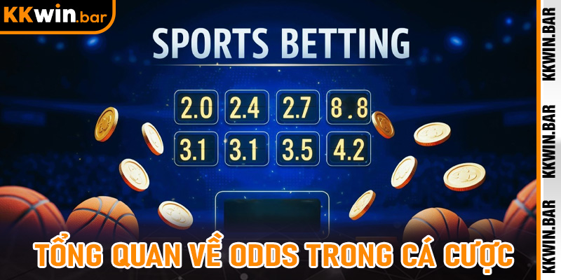 Tổng Quan Về Odds Trong Cá Cược